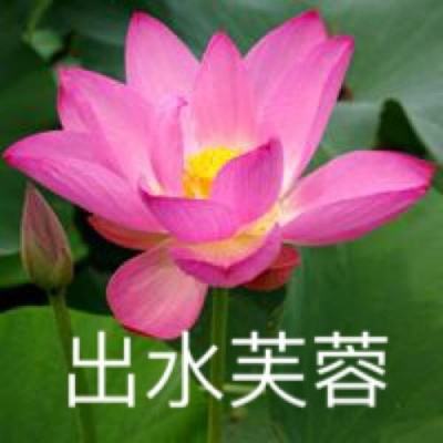 我的篮球世界单机游戏下载